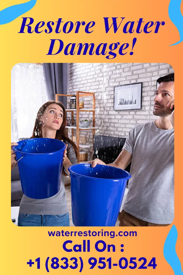 water restoration Lightning Flood Damage Services Fawn Lake Forest