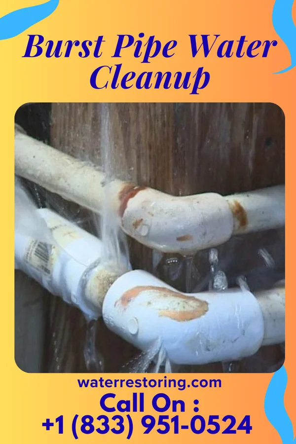 Burst Pipe Water Cleanup in Fawn Lake Forest, PA
