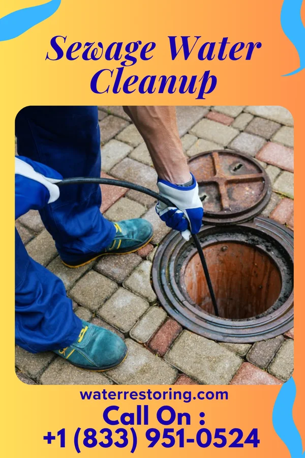 Sewage Water Cleanup in Fawn Lake Forest, PA