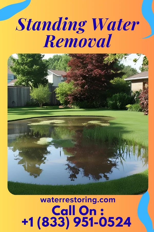 Standing Water Removal in Fawn Lake Forest, PA